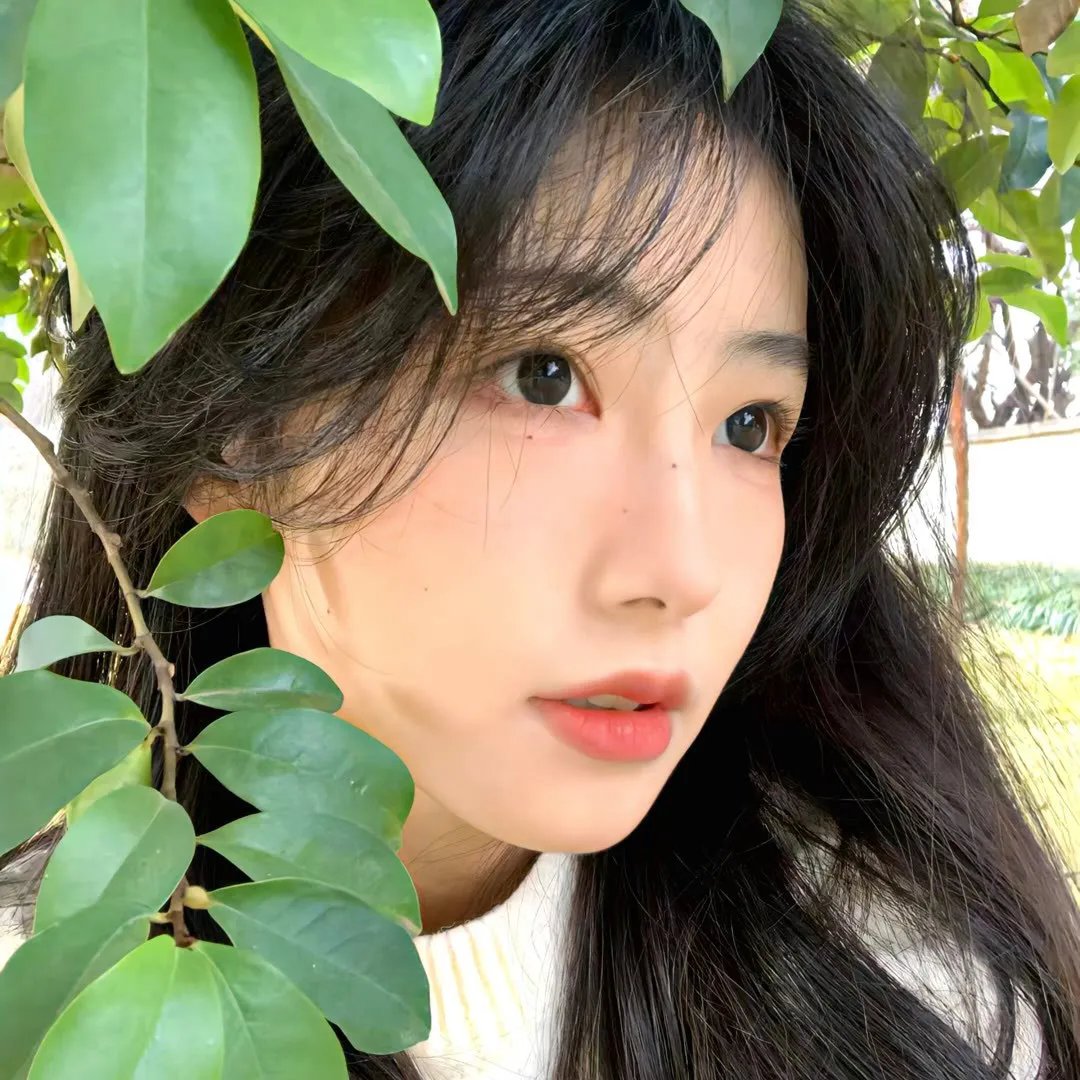迷雾追凶